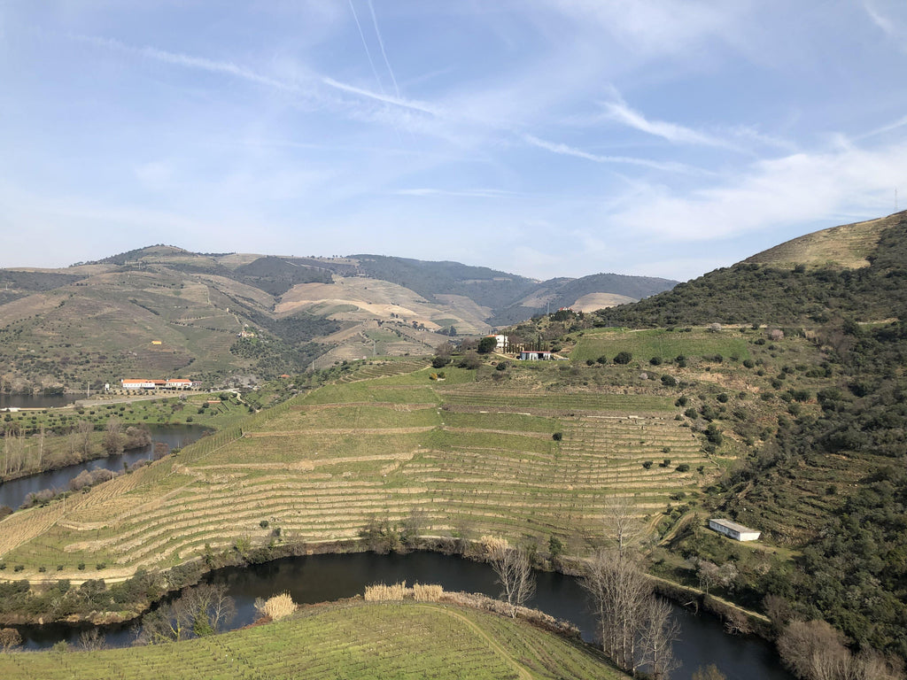A Snapshot of the Douro Wine Region - Colheitas - Port, Madeira, Fine wines & Spirits